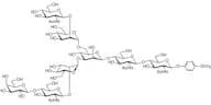 3-G1 MP Glycoside