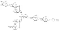 6-G1 MP Glycoside