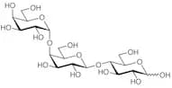 Globotriose