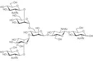 G0 Glycan