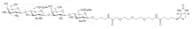 L2-L2-β-PEG3-biotin