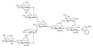 3-G1F 2AB (500pmol/vial)