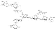 6-G1F 2AB (500pmol/vial)