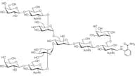 G2F 2AB (500pmol/vial)