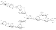 Galα(1-3) core 6-Fucosylated N-Glycan 2AB (500pmol/vial)