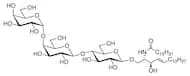 Gb3 Ceramide
