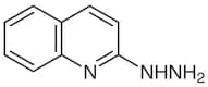 2-Hydrazinoquinoline