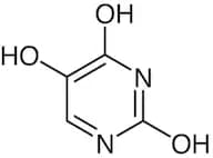 Isobarbituric Acid