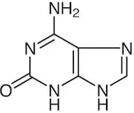 Isoguanine