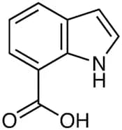 Indole-7-carboxylic Acid