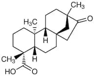 Isosteviol