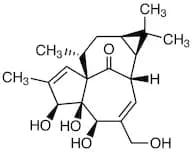 Ingenol