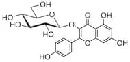 Kaempferol 3-Glucoside