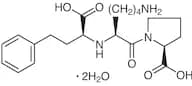 Lisinopril Dihydrate