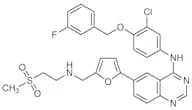 Lapatinib