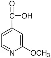 2-Methoxyisonicotinic Acid