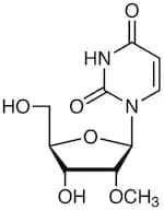 2'-O-Methyluridine