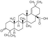 Moronic Acid