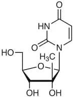 2'-C-Methyluridine