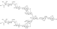 Neu5Gcα(2-6) N-Glycan