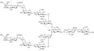 Neu5Acα(2-6) N-Glycan