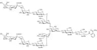 Neu5Acα(2-6) N-Glycan 2AB (500pmol/vial)
