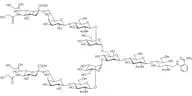 Neu5Gcα(2-6) N-Glycan 2AB (500pmol/vial)