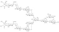 Neu5Gcα(2-6) core 6-Fucosylated N-Glycan