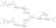 Neu5Gcα(2-6) core 6-Fucosylated N-Glycan 2AB (500pmol/vial)