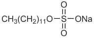Sodium Dodecyl Sulfate [for Molecular Biology]