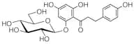 Phlorizin