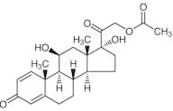 Prednisolone Acetate