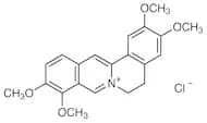 Palmatine Chloride