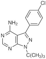 PP 2