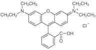 Rhodamine B