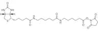 N-Succinimidyl N-[6-(Biotinamido)hexanoyl]-6-aminohexanoate