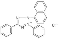 Tetrazolium Violet