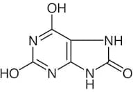 Uric Acid