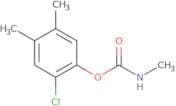 2-Chloro-4,5-dimethylphenyl methylcarbamate