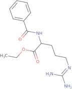 Benzoyl-L-arginine ethyl ester