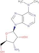 Puromycin aminonucleoside
