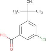 3-Chloro-5-tert-butylbenzoic acid