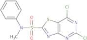 5,7-Dichloro-N-methyl-N-phenylthiazolo[4,5-d]pyrimidine-2-sulfonamide