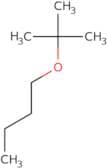 1-(tert-Butoxy)butane
