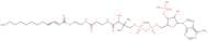 2-Trans-dodecenoyl-CO A