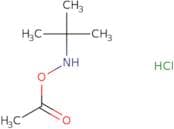 O-Acetyl-N-tert-butylhydroxylamine Hydrochloride