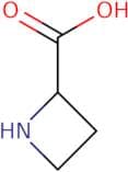 Azetidine-2-carboxylic acid