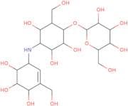 Validamycin B