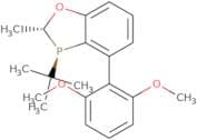 (2R,3R)-3-(t-Butyl)-4-(2,6-dimethoxyphenyl)-2-methyl-2,3-dihydrobenzo[d][1,3]oxaphosphole