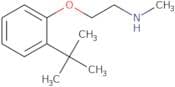 [2-(2-tert-Butylphenoxy)ethyl](methyl)amine